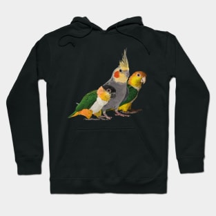 Caique and nymph Hoodie